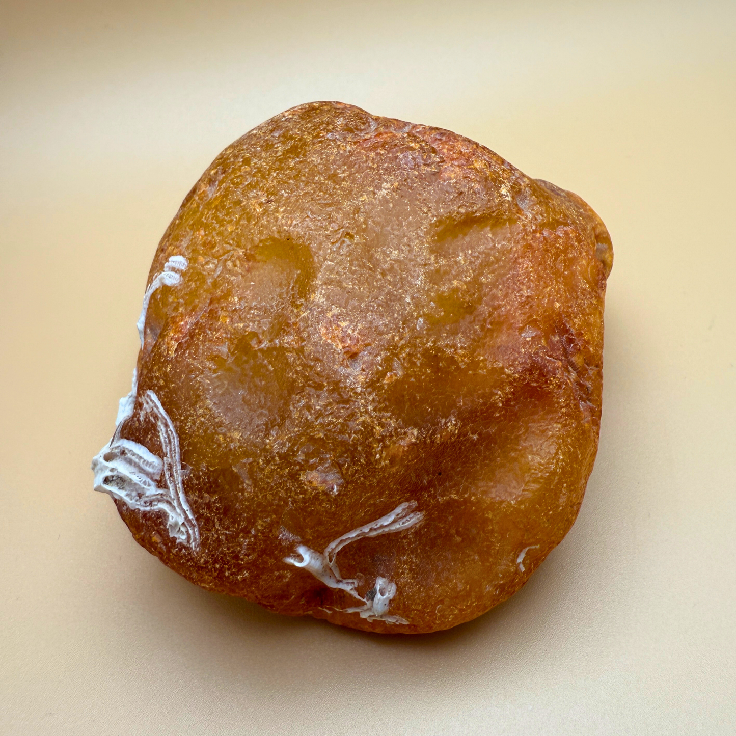 Rå rav fra danske farvande - 226 g