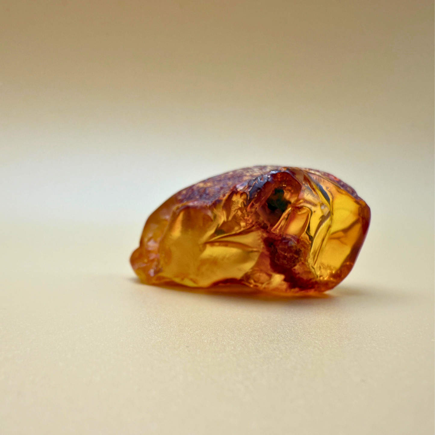 Vindue til naturen – Poleret rav med rå kant og bladinkludering