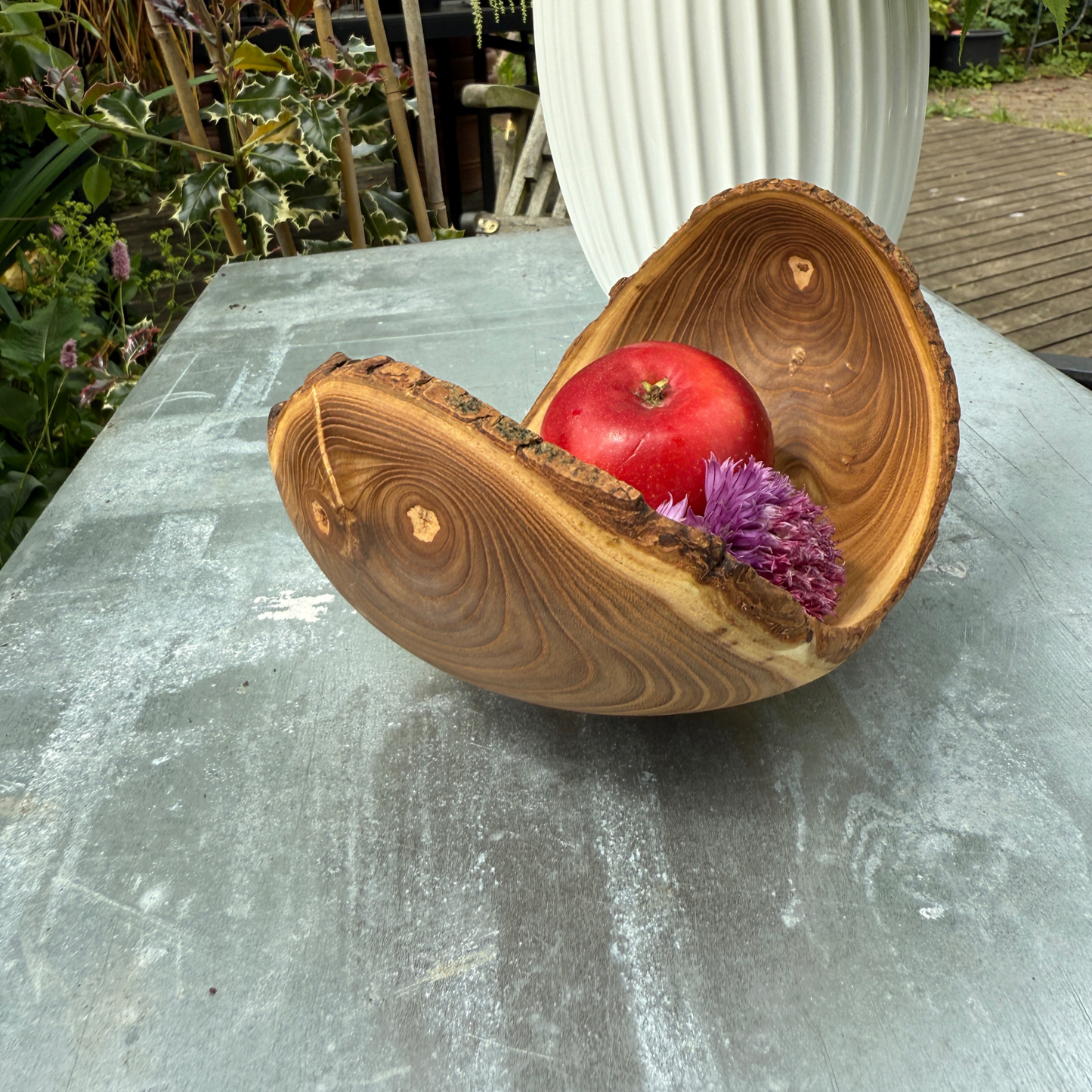 Bakke i sjældent trompettræ