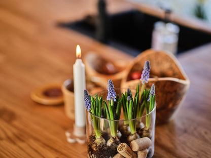 Skål i spaltet birk