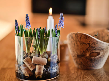 Skål i spaltet birk