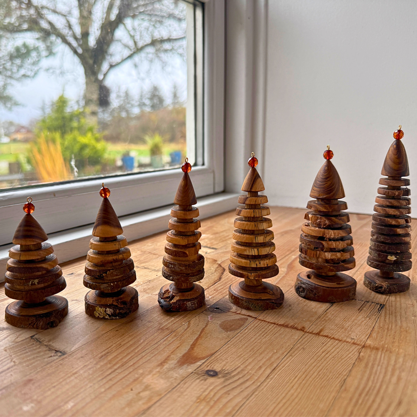 Laburnum juletræ med rund rav top 2025 batch 2