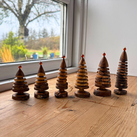 Laburnum juletræ med rund rav top 2025 batch 2