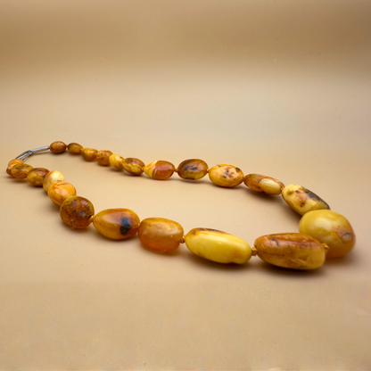 Softglow mælke Ravkæde