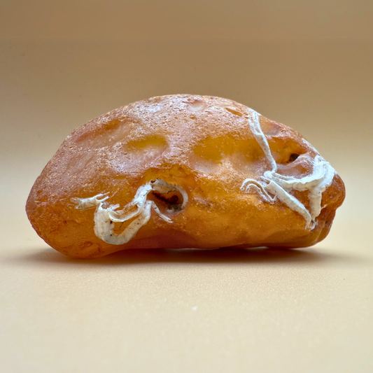 Rå rav fra danske farvande - 226 g