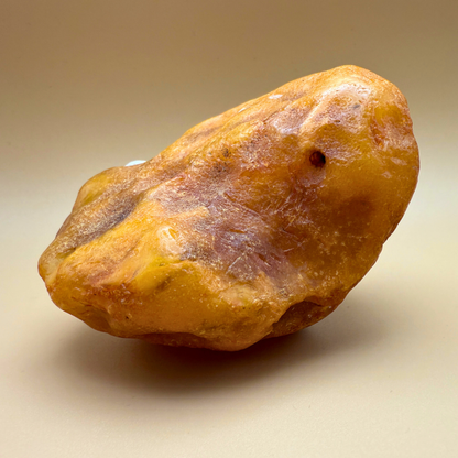 Rå rav fra danske farvande - 226 g