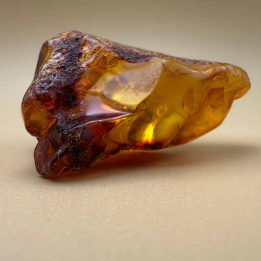 Vindue til naturen – Poleret rav med rå kant og bladinkludering