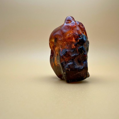 Rå rav med indeslutninger af planterester