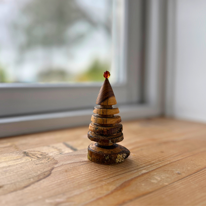 Laburnum juletræ med rund rav top 2025 batch 2