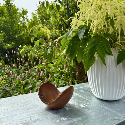 Laburnum træskål 